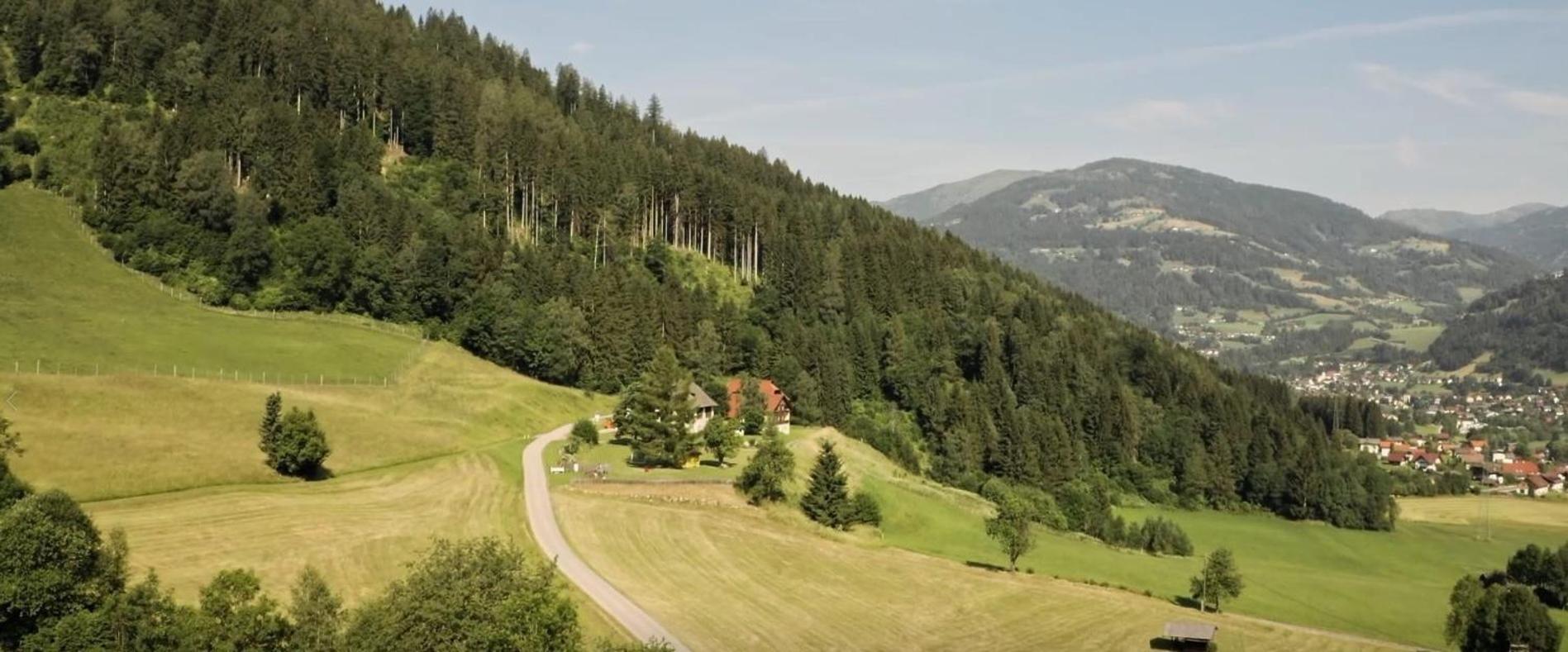 Gasthof Thurnerhof Untertweng Exterior photo